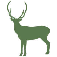 Red stag hunting in argentina icon
