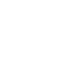 Dove shooting argentina icon