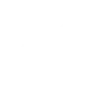 Partridge hunting in argentina