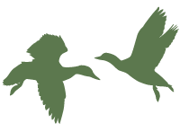 Dove shooting argentina icon