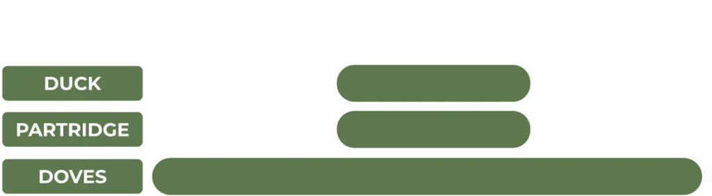 Wing shooting argentina dove season