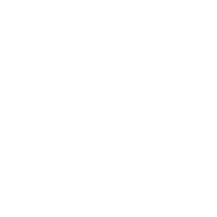 duck hunting in argentina dove icon