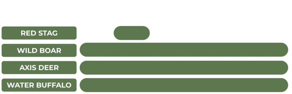 big game season red stag wild boar puma axis deer and buffalo